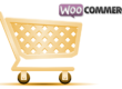Woocommerce-update-cart-price